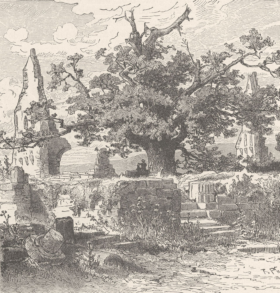 GERMANY. Monastery of Disibodenberg 1903 old antique vintage print picture